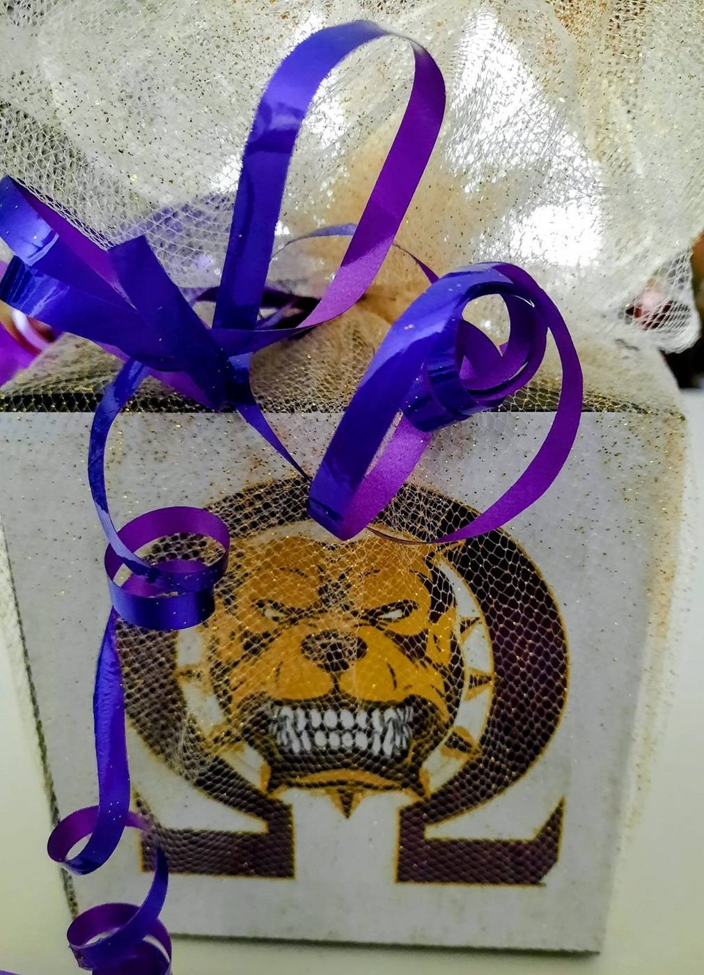 Omega Psi Phi bulldog purple and gold party favor box